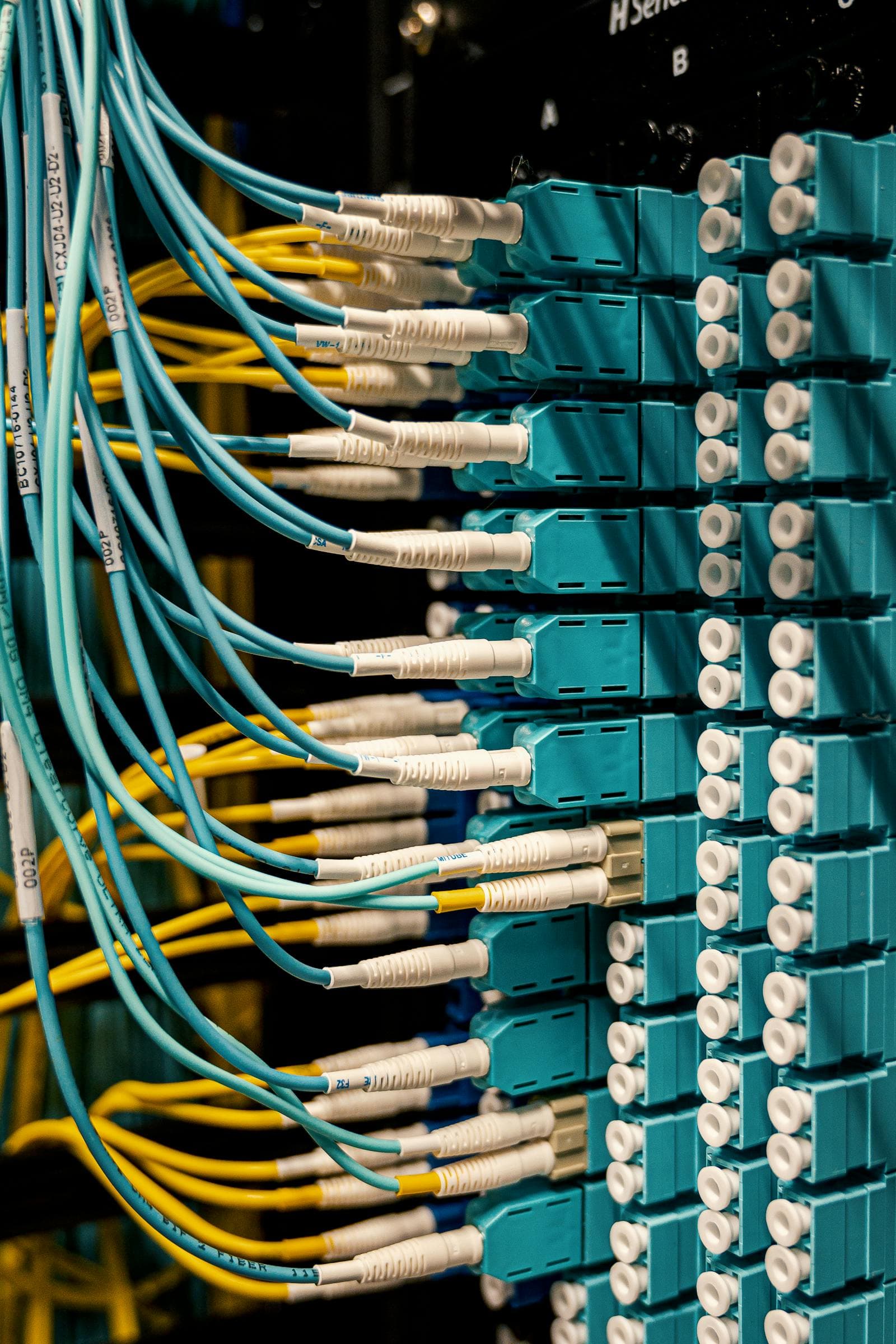 Blue and yellow fibre optic cables connected to ports on a network switch.